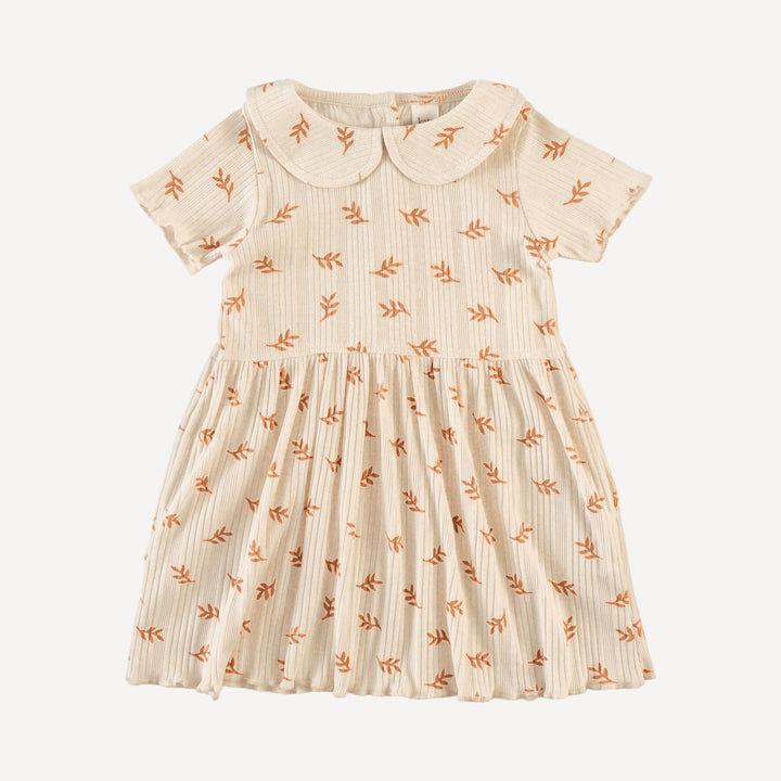 short sleeve lettuce peter pan dress | butterum leaf | organic cotton multi rib