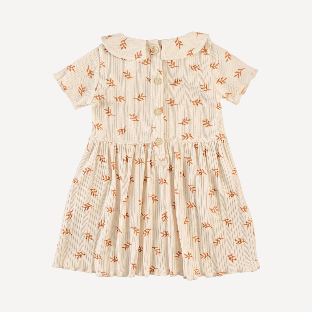short sleeve lettuce peter pan dress | butterum leaf | organic cotton multi rib
