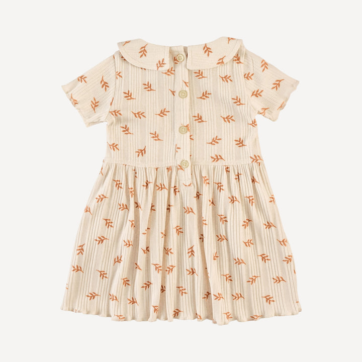 short sleeve lettuce peter pan dress | butterum leaf | organic cotton multi rib