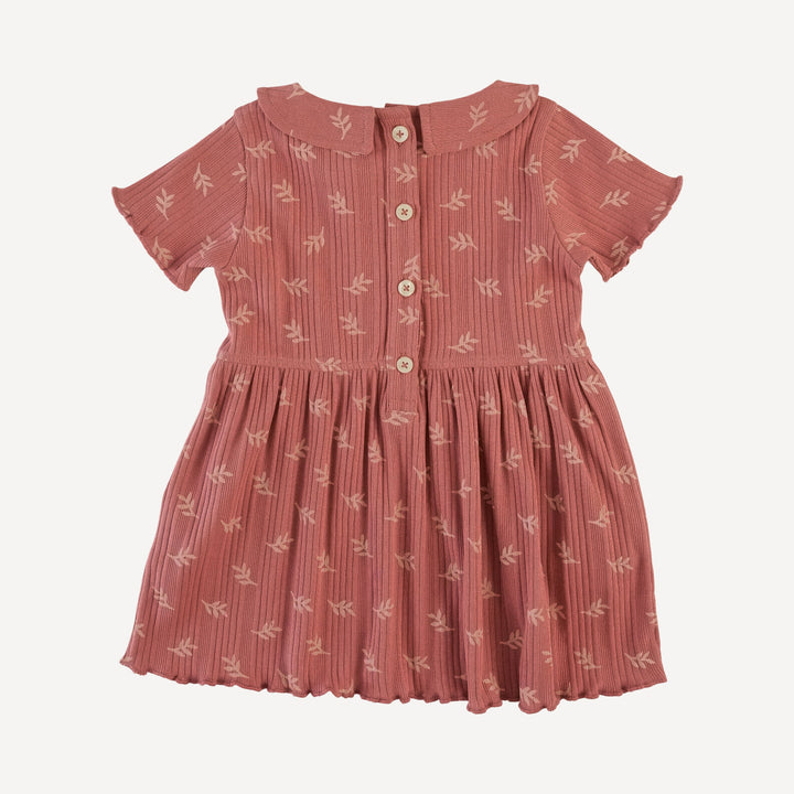 short sleeve lettuce peter pan dress | rose leaf | organic cotton multi rib
