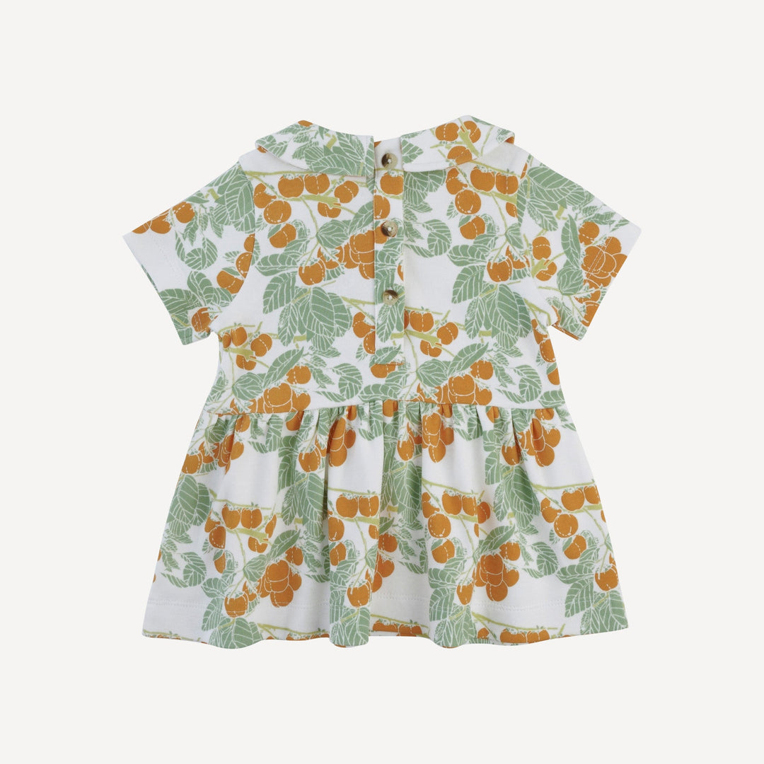 short sleeve peter pan top + flare pant set | persimmon | organic cotton interlock
