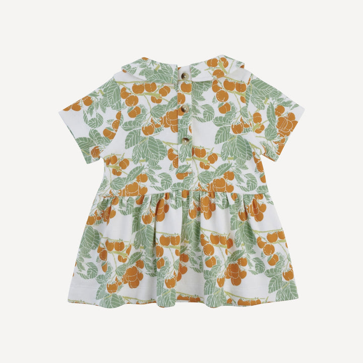 short sleeve peter pan top + flare pant set | persimmon | organic cotton interlock