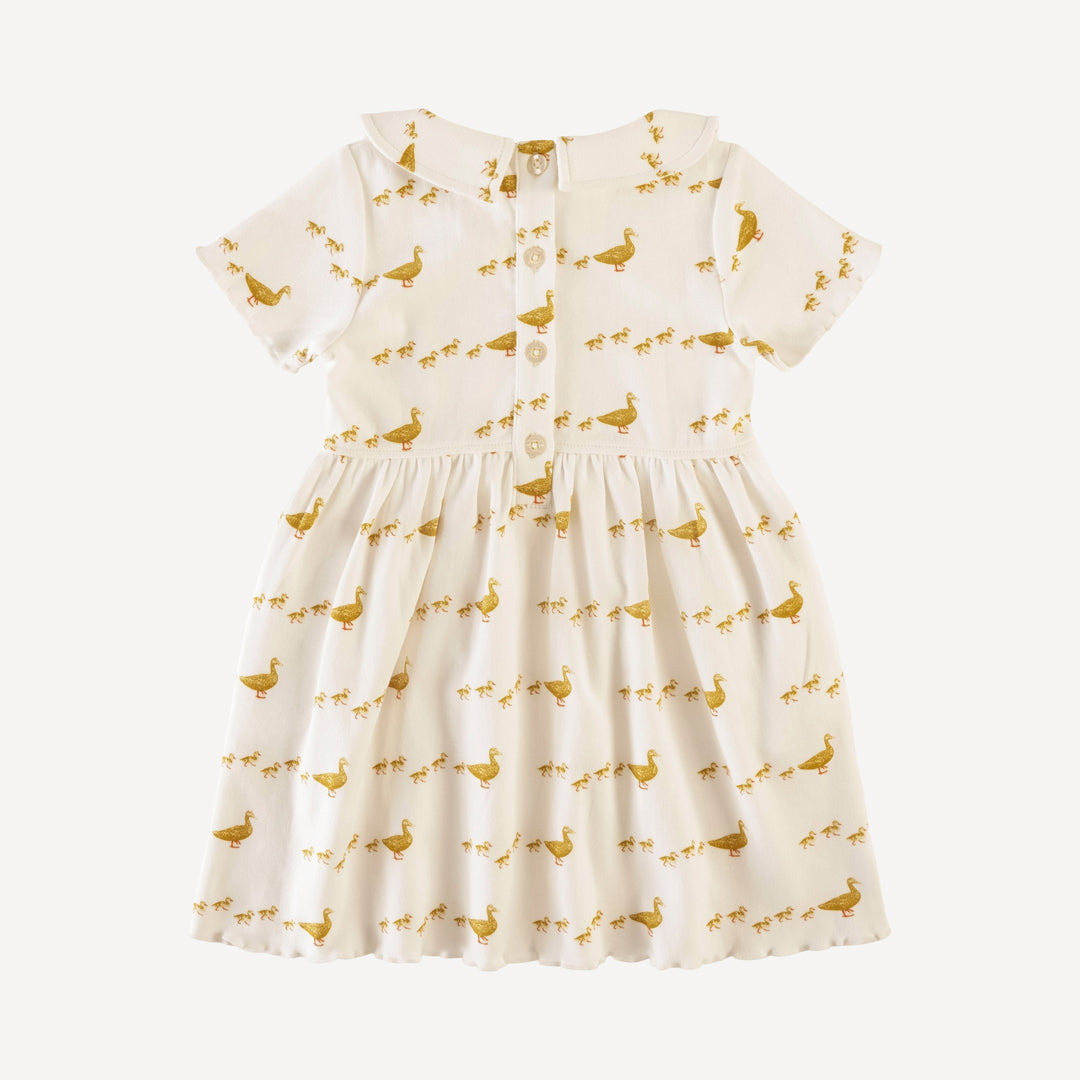 short sleeve peter pan dress | ducks | organic cotton interlock