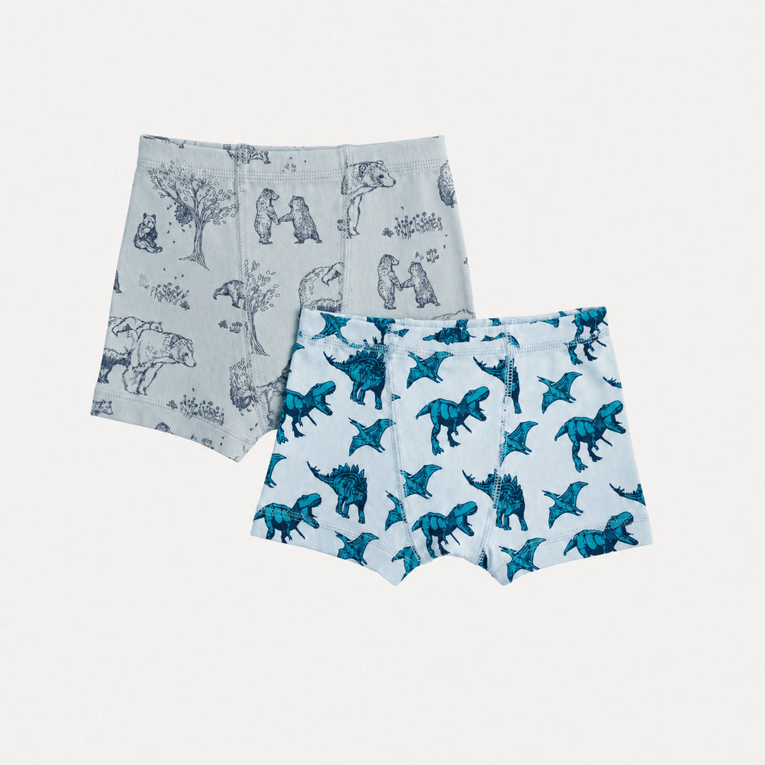 PREORDER boxer set of 2 | aqua dinosaur | organic cotton interlock