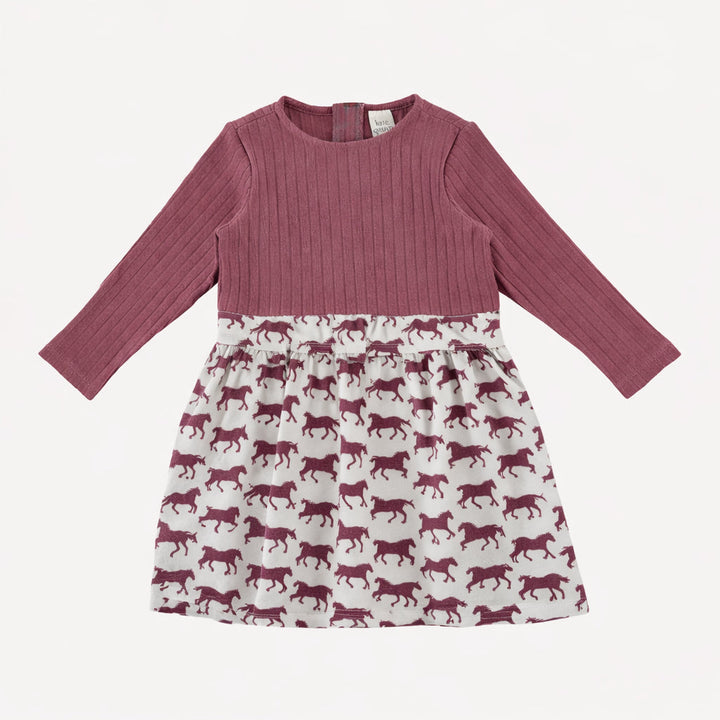 long sleeve classic ballet dress | wild ginger horses | organic cotton jersey