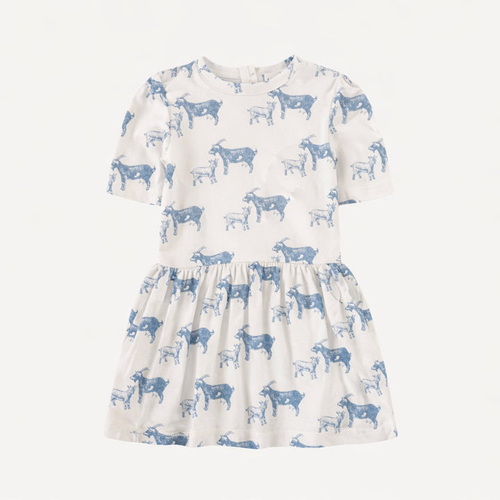 short puff sleeve drop waist dress | goats | organic cotton interlock