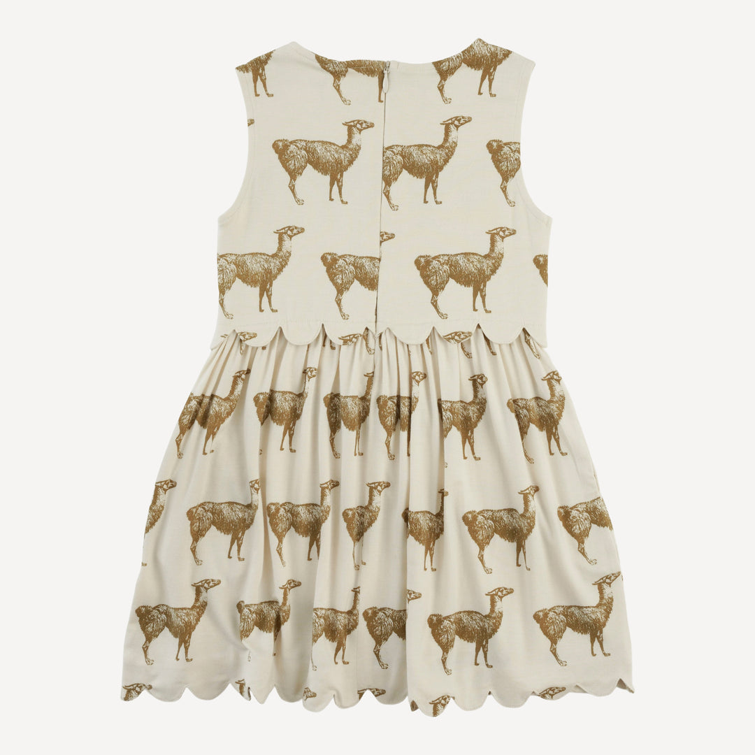 sleeveless scallop dress | fennel llama | bamboo