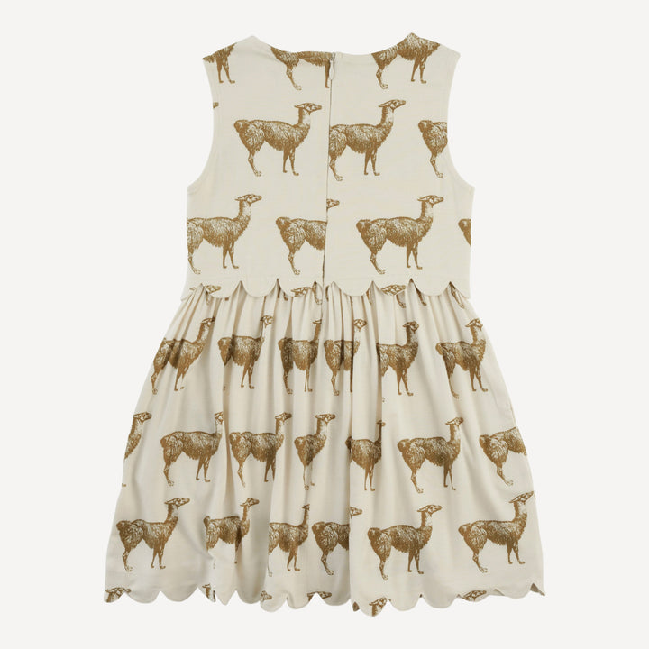 sleeveless scallop dress | fennel llama | bamboo