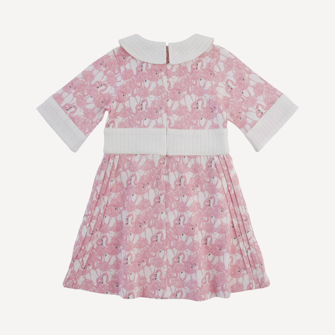 peter pan pintuck dress | flamingos | organic cotton jersey