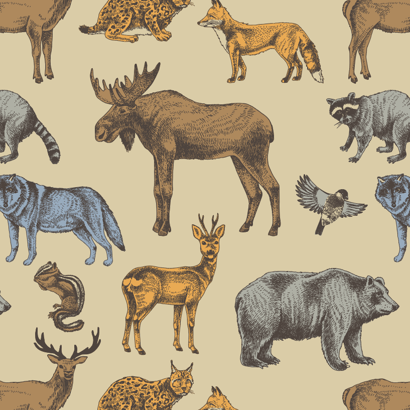 PREORDER womens short sleeve boxy tee | forest animals | organic cotton interlock