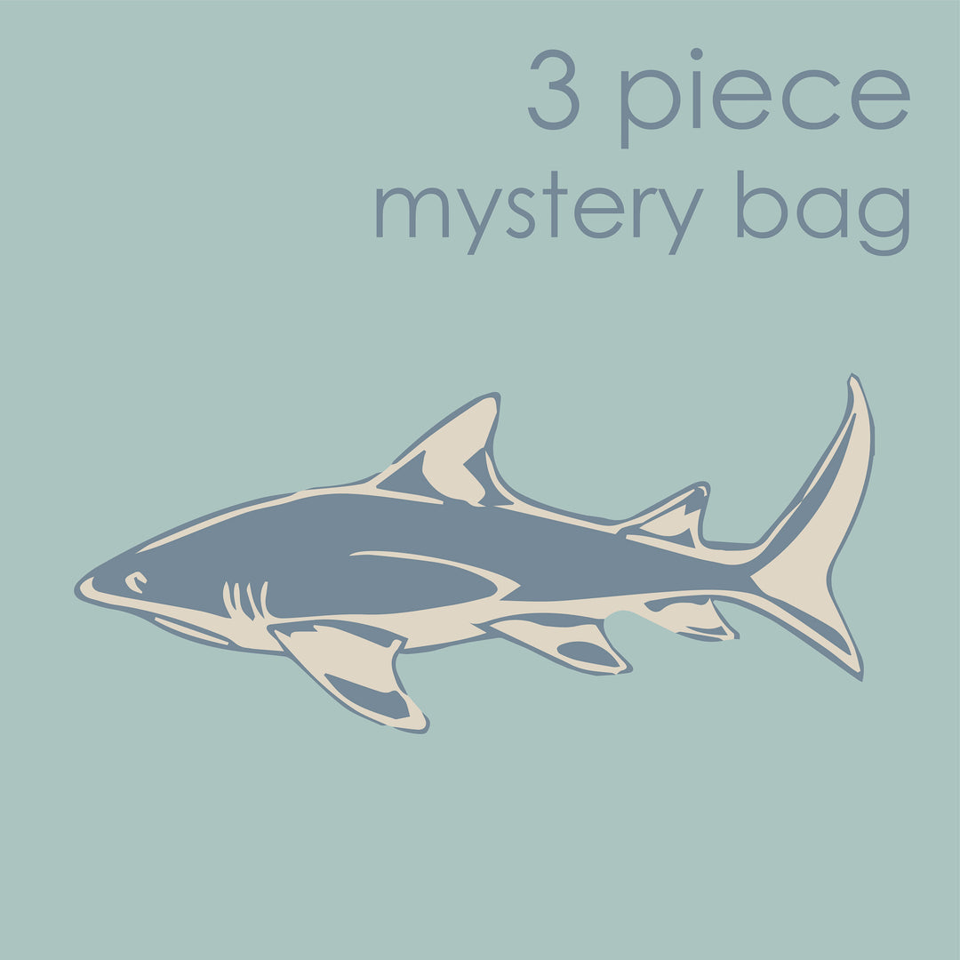 3 piece mystery bag | NO FRILL