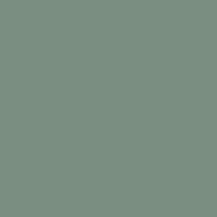 PREORDER cuffed pocket short | green bay | organic cotton interlock