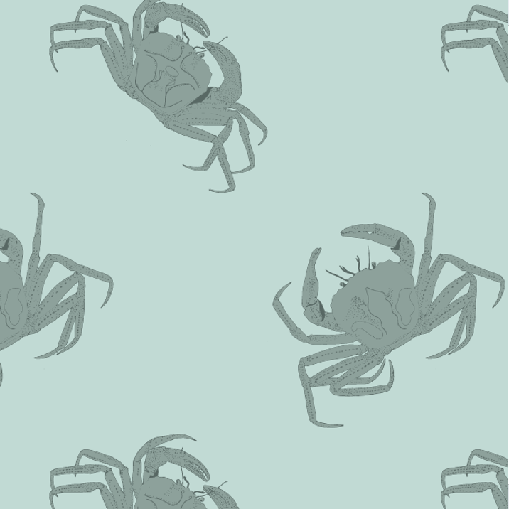 PREORDER elf hat | green crab | modal