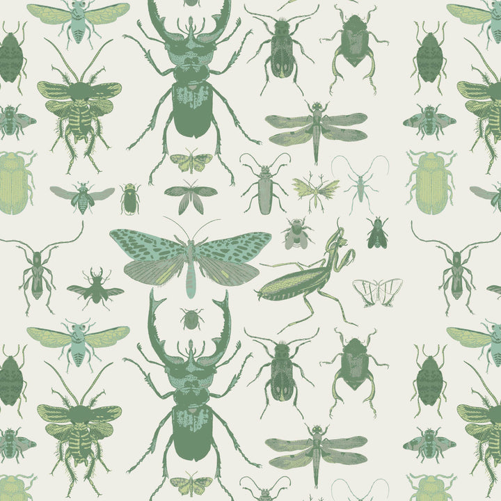 PREORDER long sleeve basic henley tee | green insects | modal