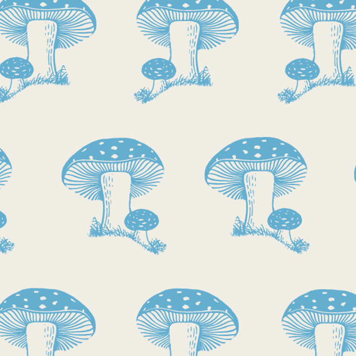 PREORDER boxer set of 2 | grotto toadstool | bamboo