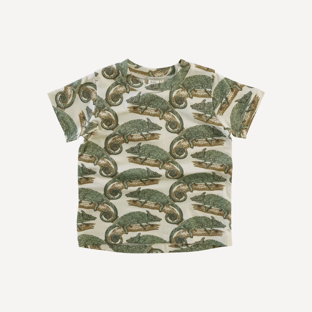 PREORDER short sleeve essential boxy tee | chameleon | modal