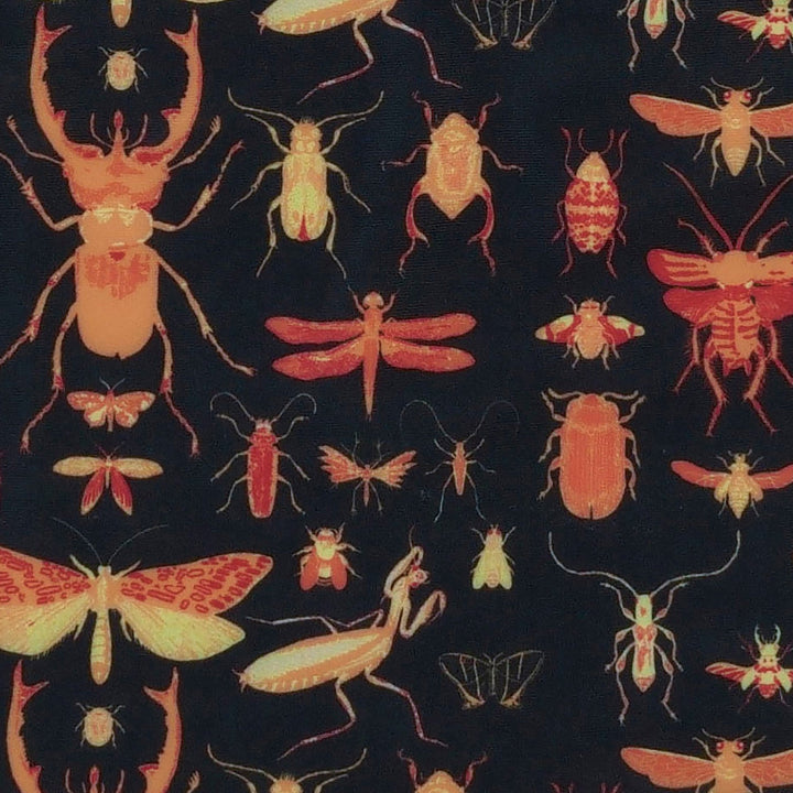 swim short | insects | swim