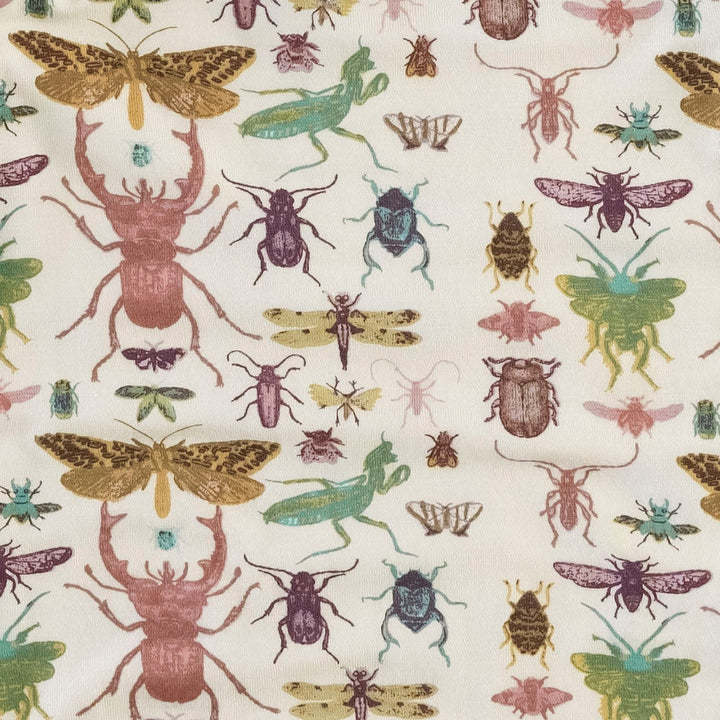 crib sheet | insects | modal