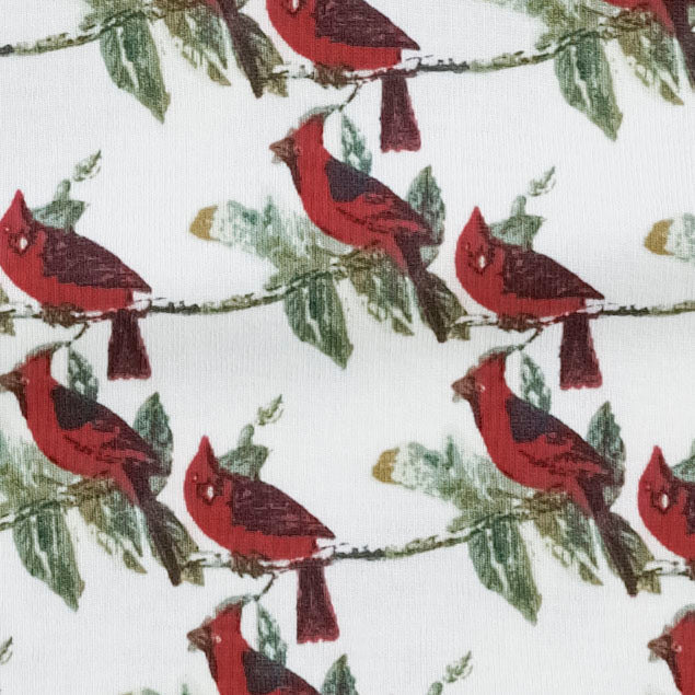 bib | little cardinal | organic cotton single rib