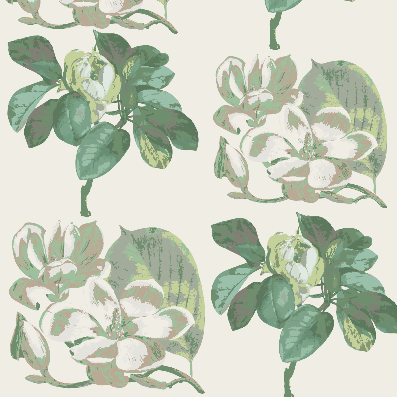 PREORDER jade short set | magnolia | modal
