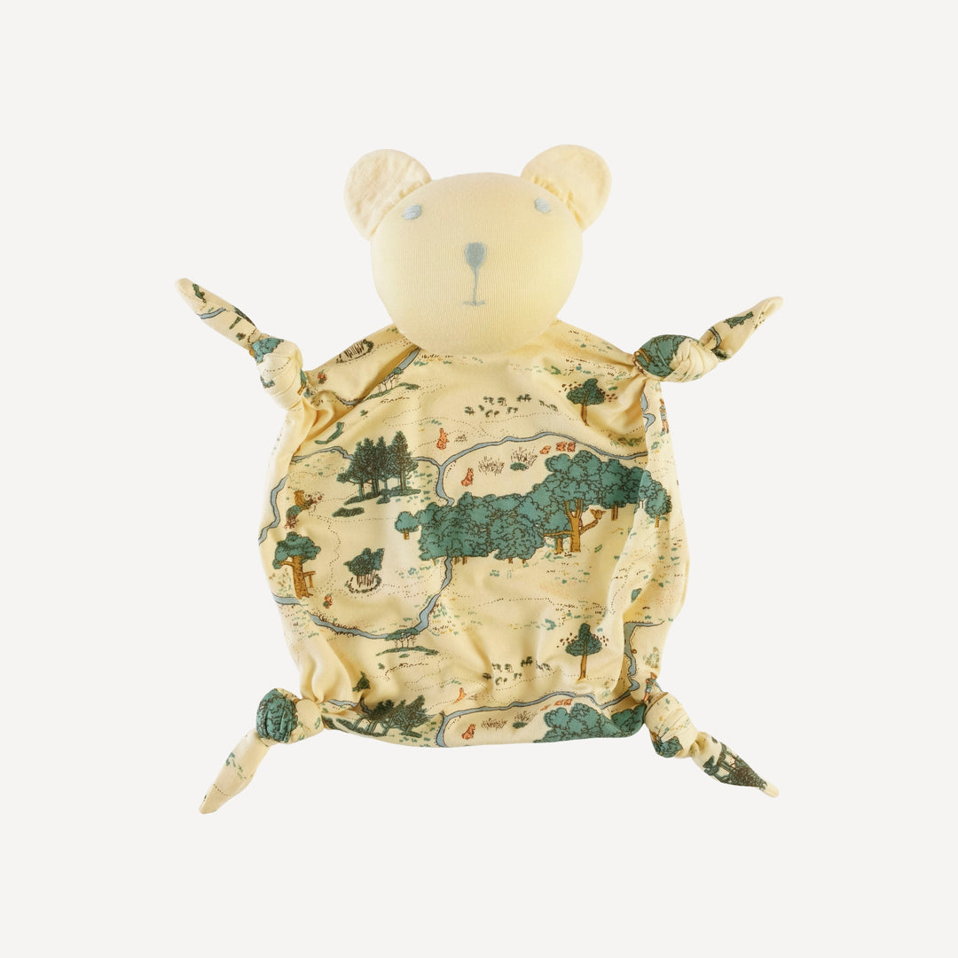 bear snuggly | map | bamboo