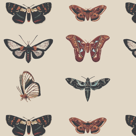 PREORDER long sleeve peter pan bubble | moths | bamboo