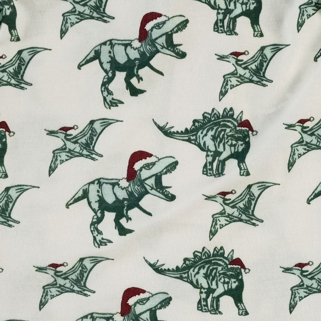 long sleeve essential boxy tee | santa dino | bamboo