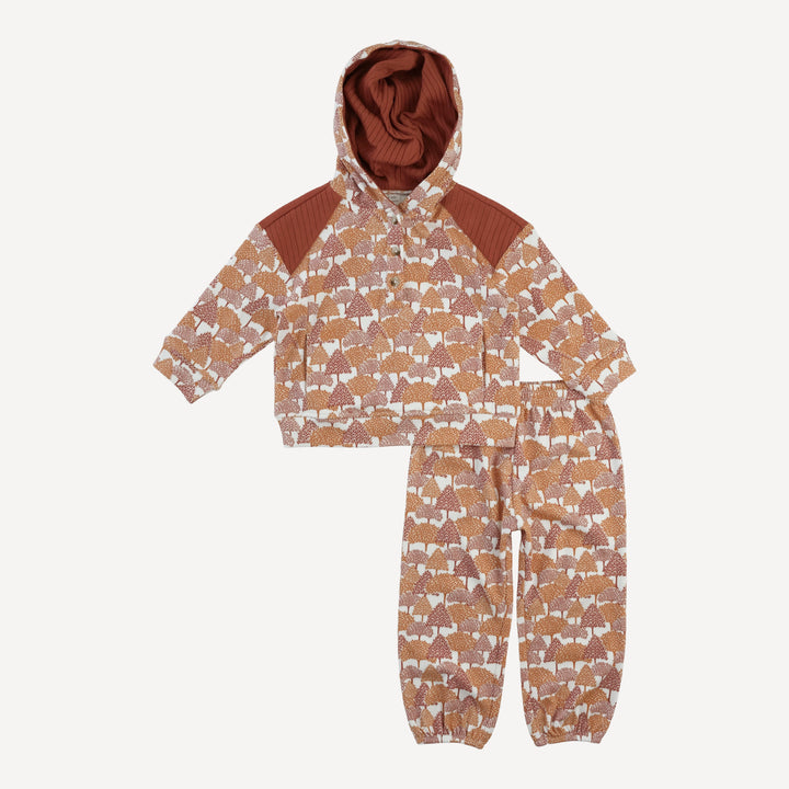 PRESALE long sleeve color blocked henley hoodie + relaxed jogger set | orange forest | organic cotton interlock