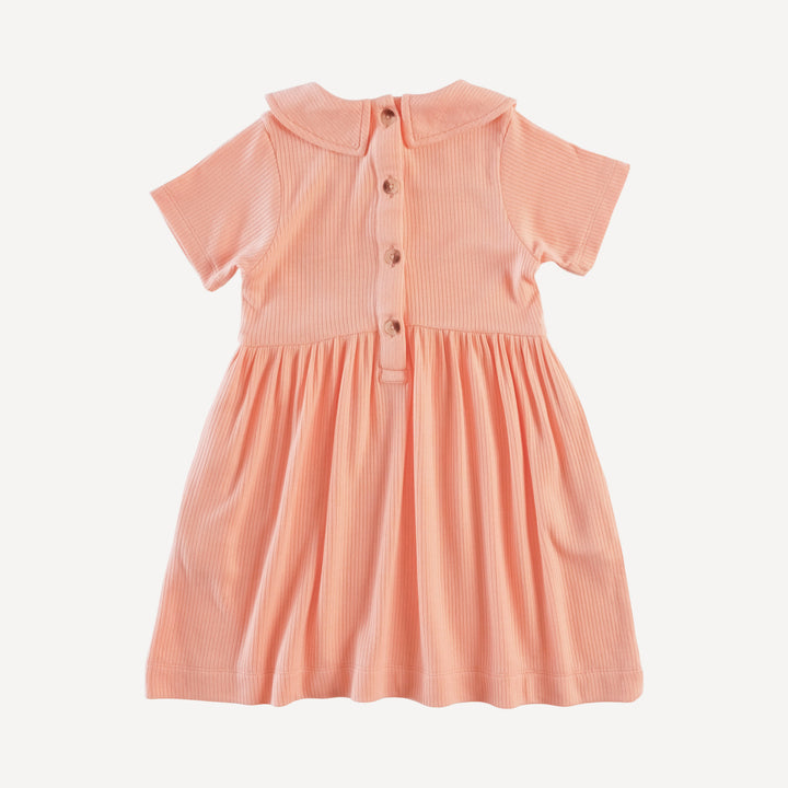 short sleeve peter pan dress | peach quartz | modal skinny rib