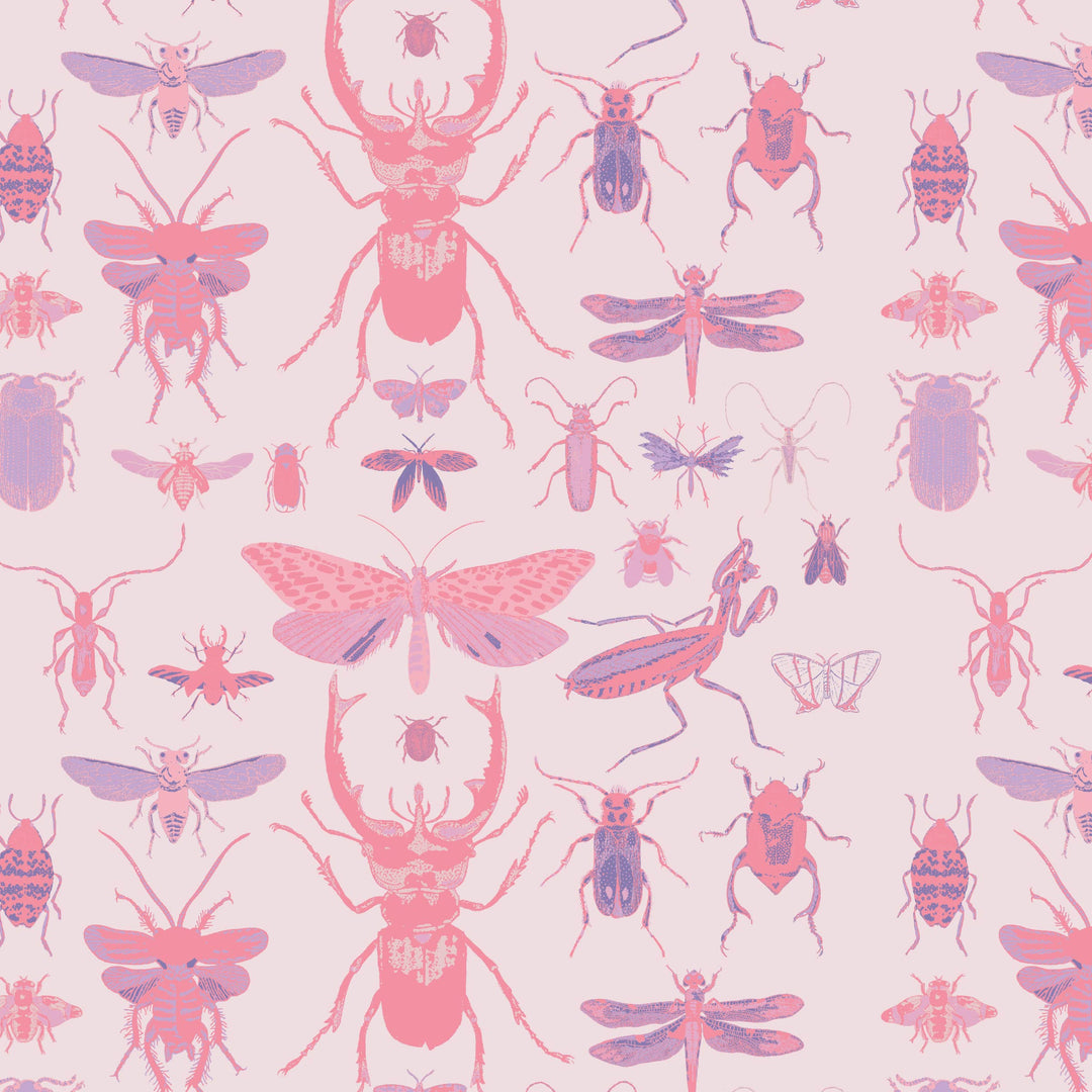 PREORDER flare leg pant | pink insects | modal