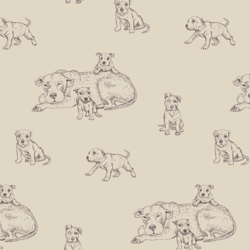 PREORDER kate short set | pit bulls | bamboo