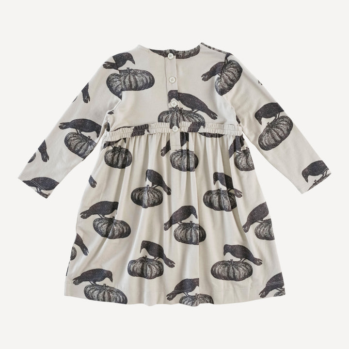 long sleeve rainbow empire dress | pumpkin crow | organic cotton interlock