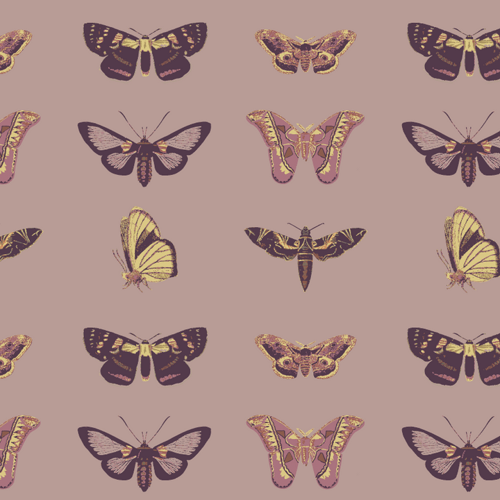 PREORDER womens oversized sweatshirt | purple moths | organic cotton interlock