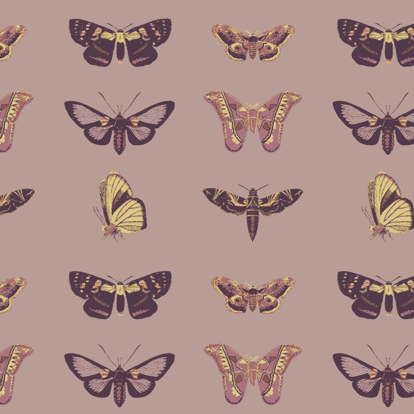 PREORDER long sleeve ballerina bubble | purple moths | organic cotton interlock