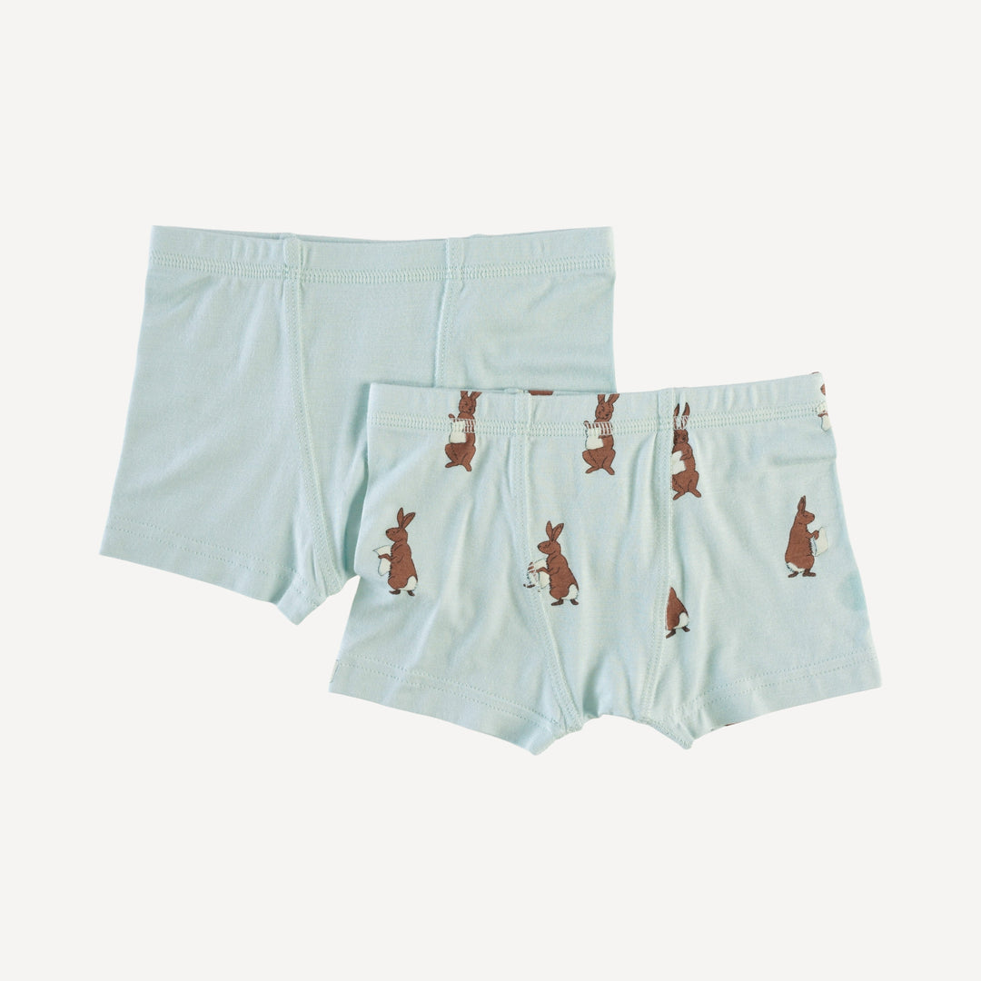 boxer set of 2 | rabbit | bamboo