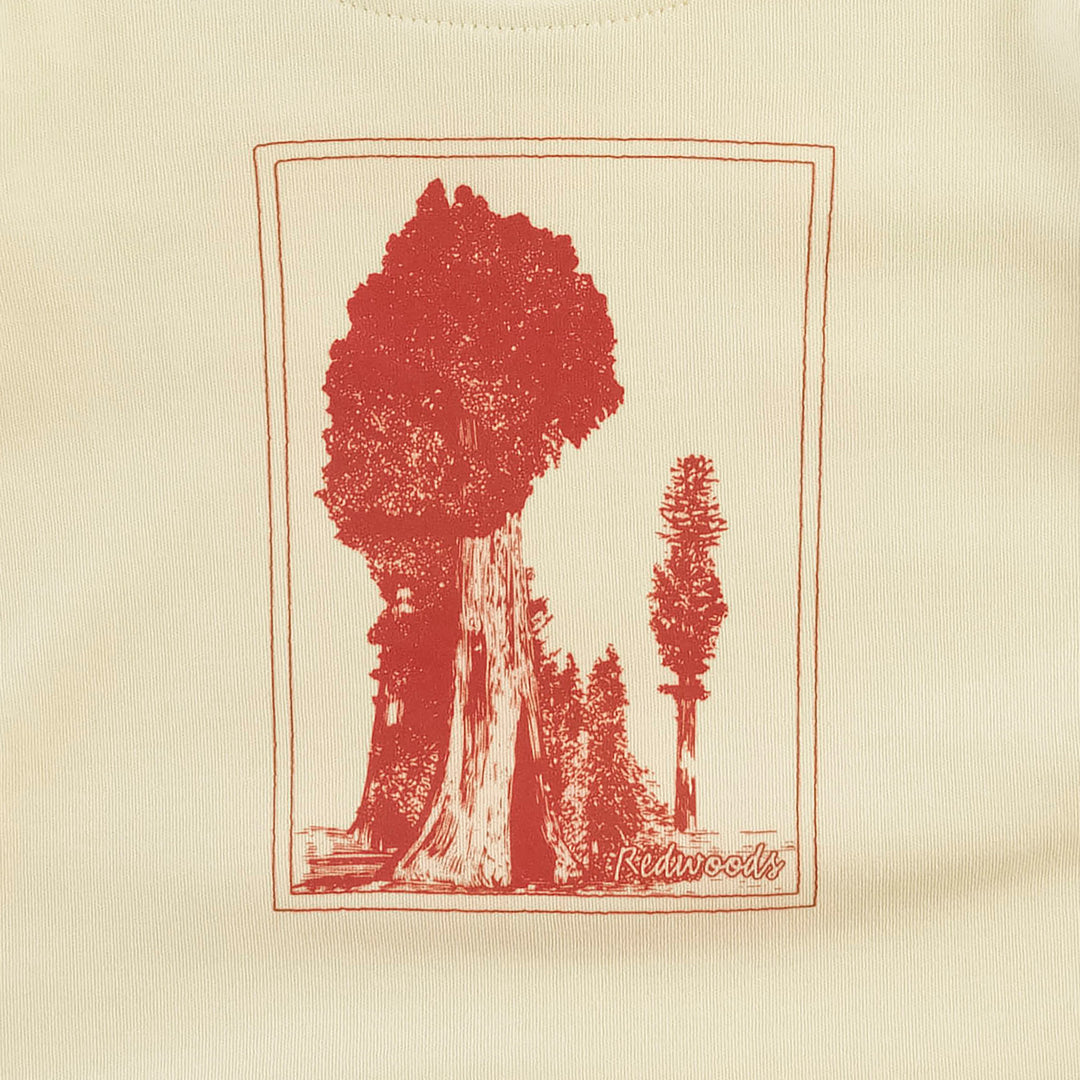 short sleeve essential boxy tee | redwoods | organic cotton interlock