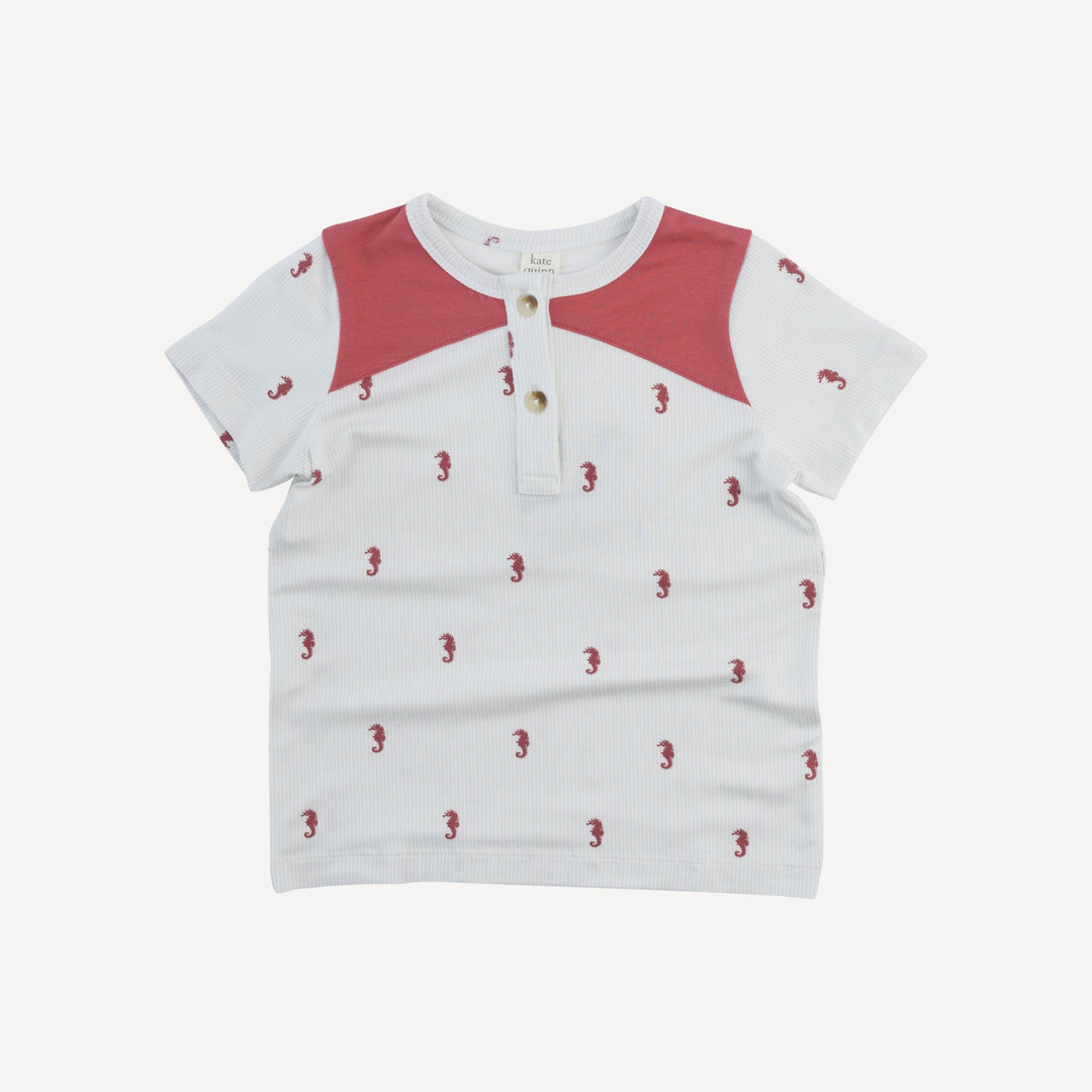 color blocked henley tee | seahorse stripe | bamboo