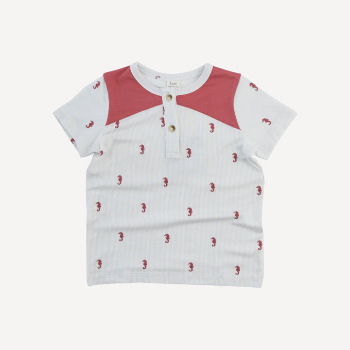 color blocked henley tee | seahorse stripe | bamboo