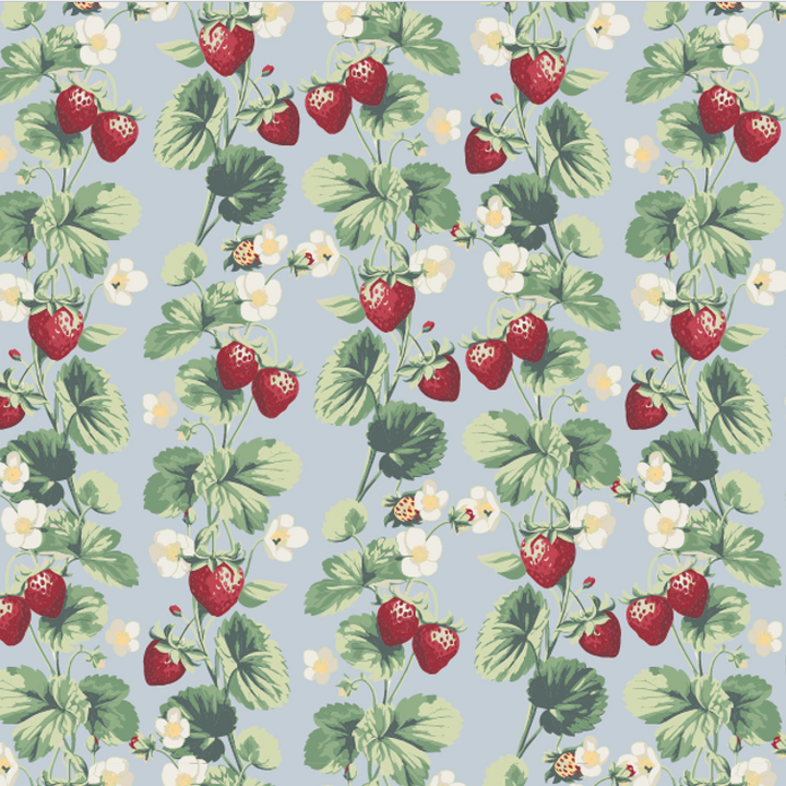 PREORDER womens scoop neck ringer tee | strawberry vine | bamboo