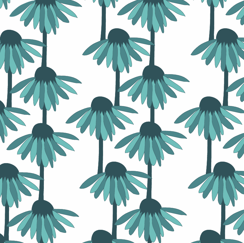 PREORDER short sleeve boxy tee | teal echinacea | bamboo