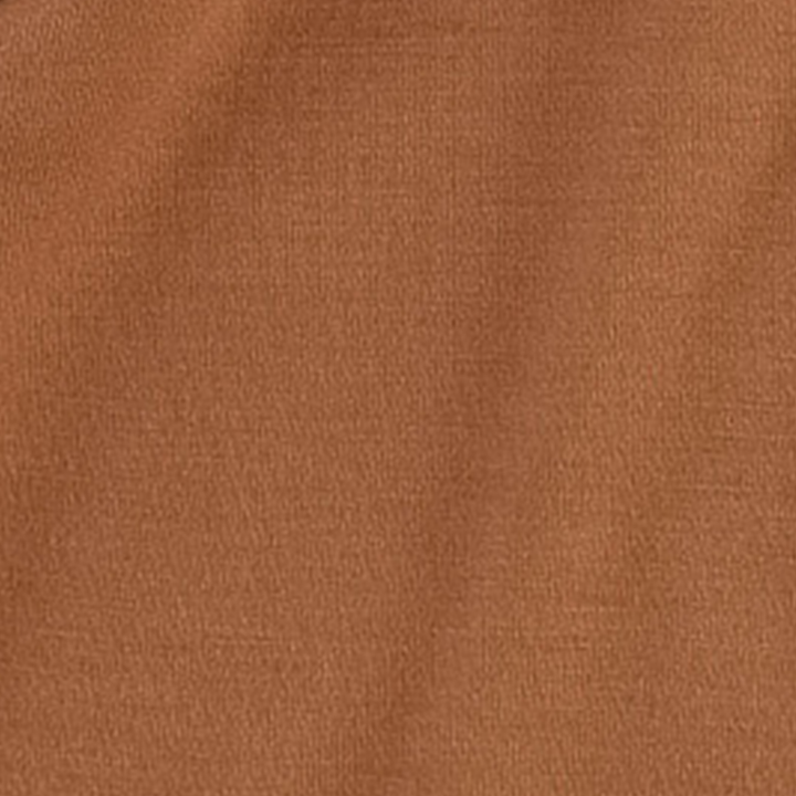 dino zip hoodie | toffee | bamboo