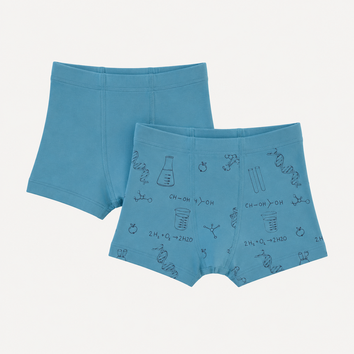 PREORDER boxer set of 2 | blue chemistry | organic cotton interlock
