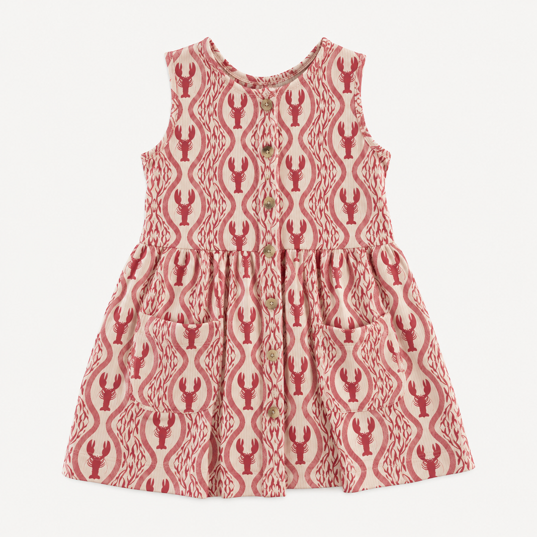 PREORDER pinafore apron button pocket dress | lobster baroque | modal
