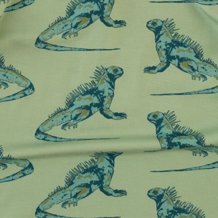 jamie short set | iguana | light weight bamboo