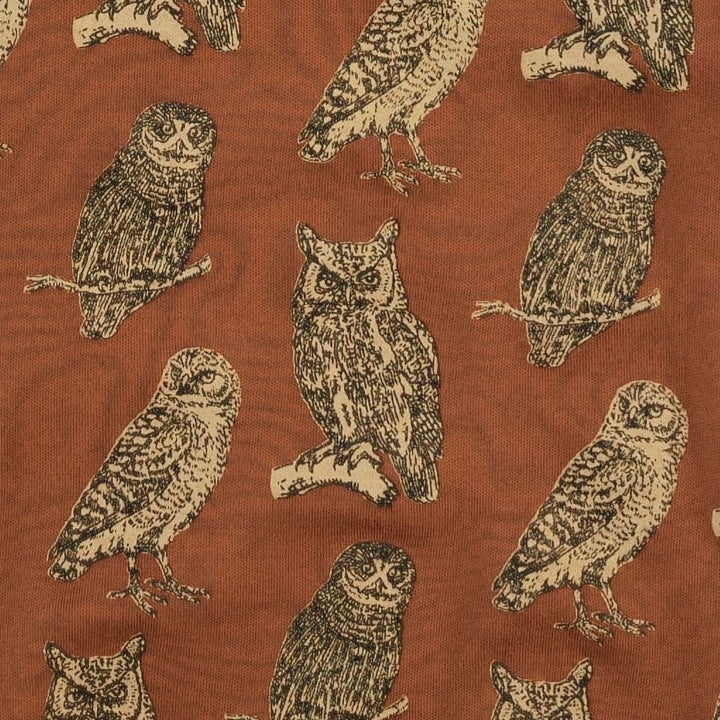 underwear set of 2 | owl friends | organic cotton interlock