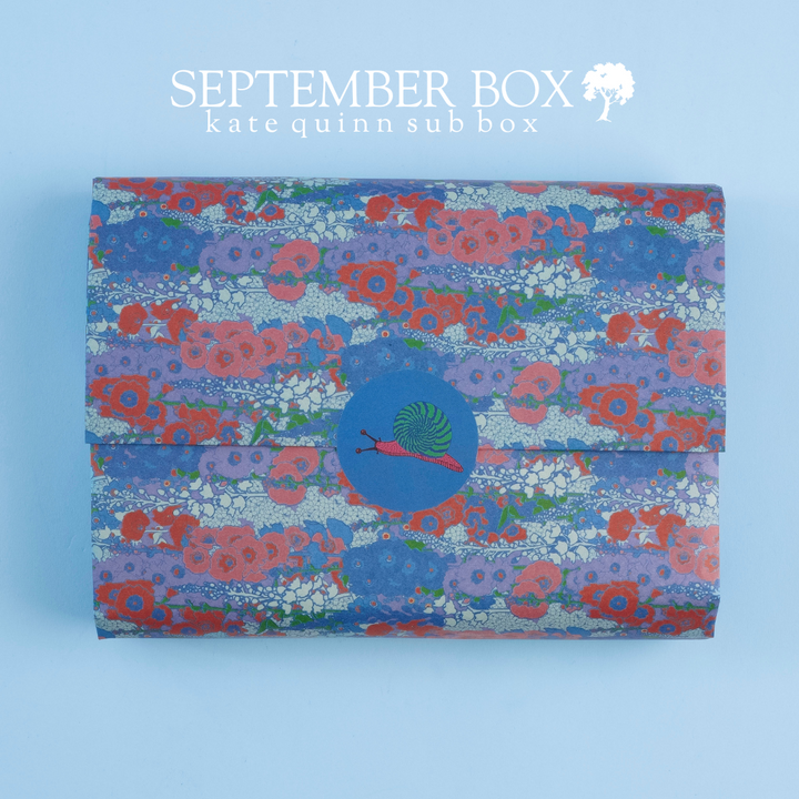 Surprise Box (Monthly)