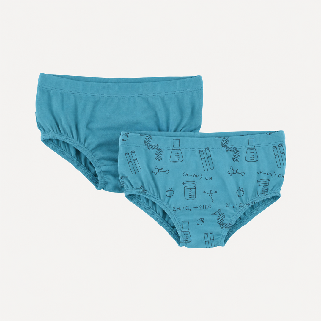 PREORDER underwear set of 2 | blue chemistry | organic cotton interlock