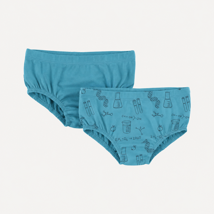 PREORDER underwear set of 2 | blue chemistry | organic cotton interlock