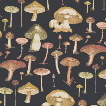 PREORDER mens short sleeve pocket tee | black mushroom litho | modal