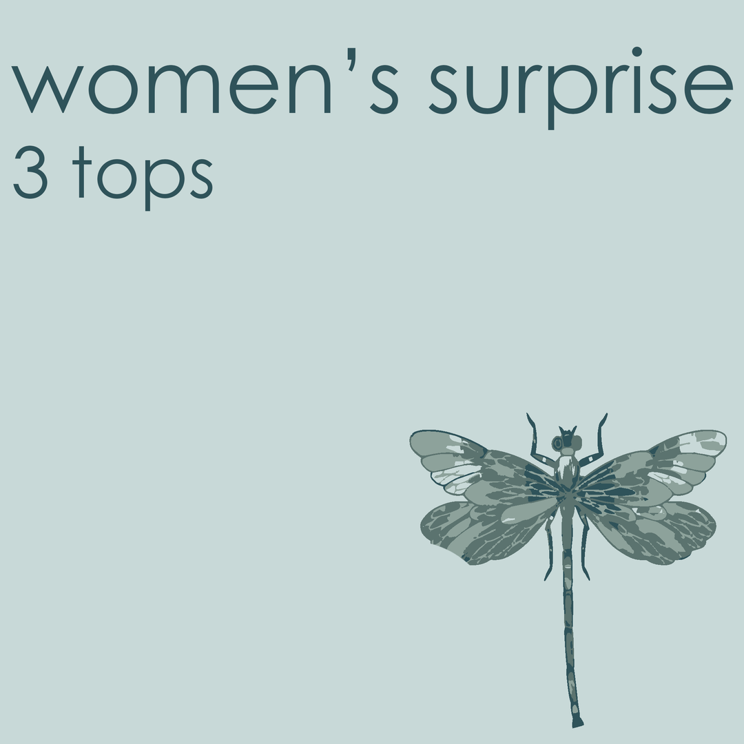 surprise grab bag | 3 surprise women's top